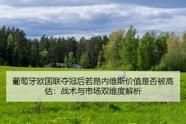 pu-tao-ya-ou-guo-lian-duo-guan-hou-ruo-ang-nei-wei-si-jia-zhi-shi-fou-bei-gao-gu-zhan-shu-yu-shi-chang-shuang-wei-du-2-763.jpg